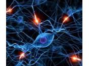 Inhibidores colinesterasa para demencia cuerpos Lewy, enfermedad Parkinson deterioro cognitivo