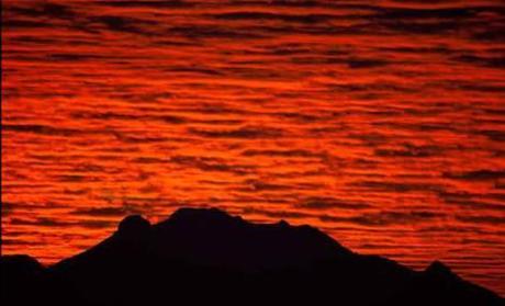 polyforum-fotografias