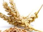 Zer0 gluten: Recetas para celíacos