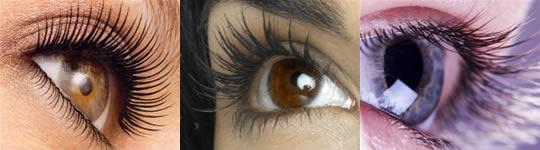 Injerto de pestañas