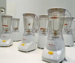 :: Arte Moderno, Contemporáneo y Emergente ::