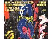 Trio Irene Schweizer Berne Concert