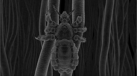 Nanocam en Cosmocaixa Madrid