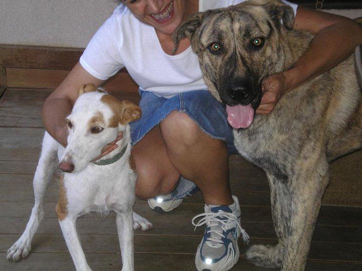 Historias de adoptados. Rosca