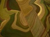 Obtuvo dictamen proyecto Rovira para ordenar paisajes misioneros.