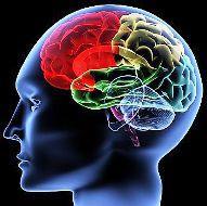 El diseño de las organizaciones como ventaja competitiva: El poder de aprender y desaprender