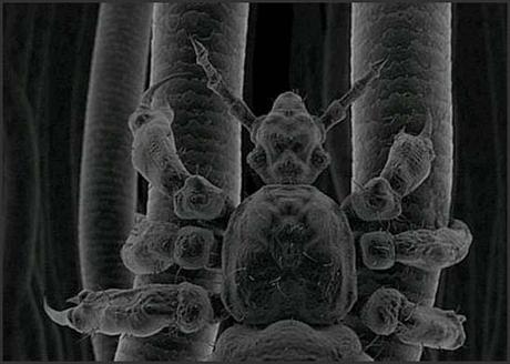 profesor diseño grafico, profesor diseño web, curso illustrator, curso photoshop, curso dreamweaver, diseno grafico, diseño web