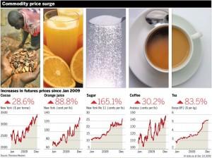 Vandana Shiva acusa al Banco Mundial de la generacion de la crisis mundial de los alimentos