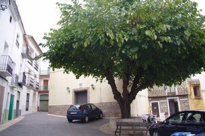 Vall de Laguar. Fiestas Patronales 2010 y Bous al Carrer en Benimaurell