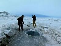 Cinecritica: Encuentros en el fin del Mundo