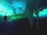 Cinecritica: Encuentros en el fin del Mundo