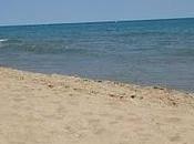 Resumen semana