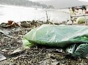 Pantano Juan, sucio peligroso.