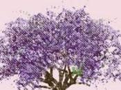 Eels Tomorrow Morning