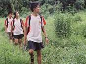 Temporada SANFIC6: Dragonfilies.