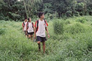 Temporada de SANFIC6: Red Dragonfilies.