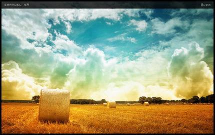 Cinco impresionantes fondos para tú escritorio.