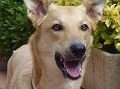 Incontinencia urinaria mujer, hombre niño