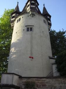 La trenza por la que no subiste