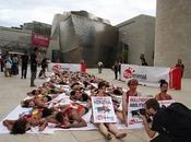 Stop txakurrak fighting