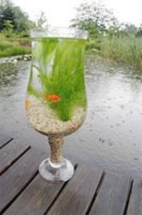 La verdadera verdad nos hace libres