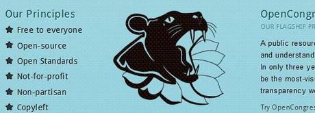 Web Design Inspiración 2010 No. 1 Participatory Politics Foundation, Web Design Inspiration 2010