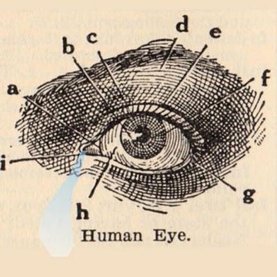 B.B Brown: B.B Brown: