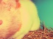 Tres, terceto, tercero...