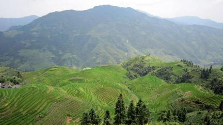 Longsheng y las terrazas de arroz