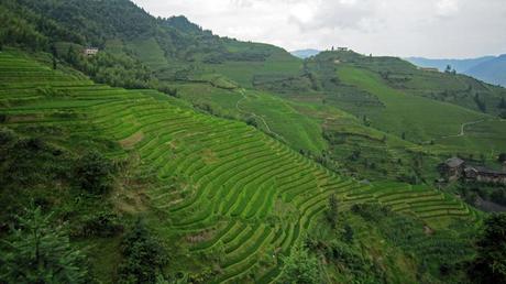 Longsheng y las terrazas de arroz