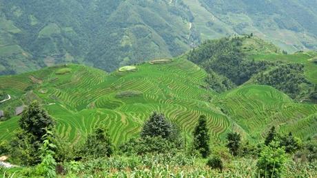 Longsheng y las terrazas de arroz