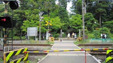 Kamakura - Templos Zen en Kita-Kamakura