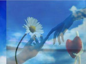 Para decirte que te quiero...