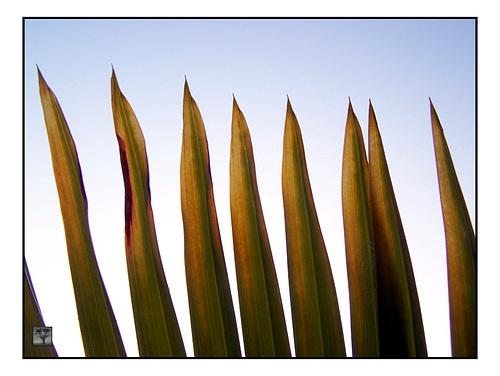 “Hay una aritmética vulgar …