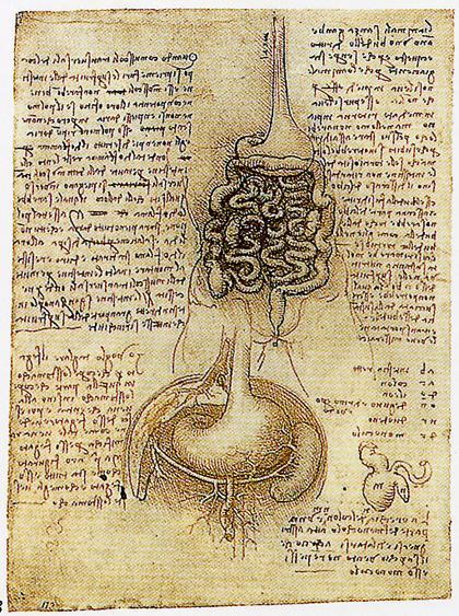 Mi úlcera (según Michel Onfray)