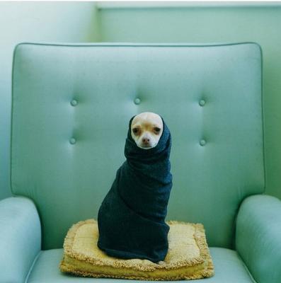 Como integrar el arte en la decoración