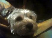 cosas rocky: super-cuajado!!!