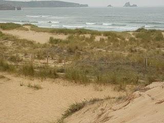 En las dunas de Liencres