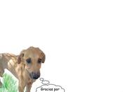 Ojitos,sus hermanos, mama salvadoras necesitan ayuda