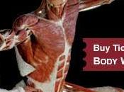 ¿Qué Kinesiología?