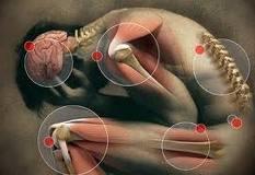 ¿Qué es la Kinesiología?