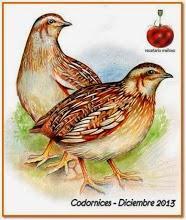 Ensalada De Codorniz