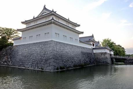 Shigurui. Demonios del sable La historia comienza en el castillo de Sunpu, donde Tokugawa Tadanaga, hermano menor del tercer shogun Tokugawa Iemitsu, está a punto de cometer sepukku.