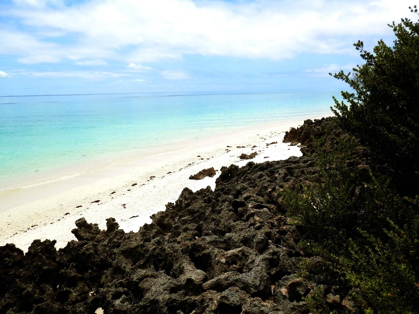 Ilha de Vamizi