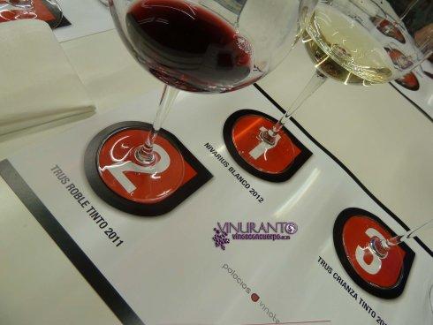 Cata de vinos en Madrid.