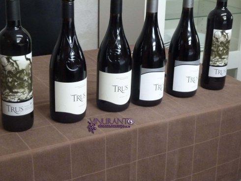 Vinos de Ribera del Duero, Trus.