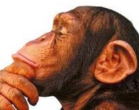 Depresión y 3 Herramientas para tener una Mente Saludable!