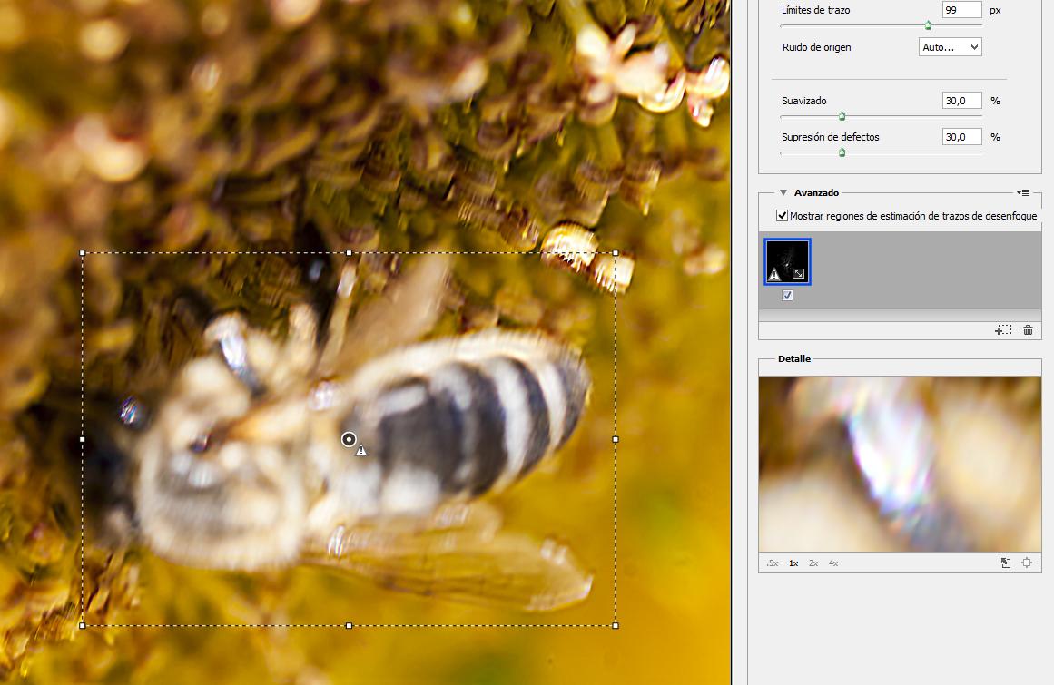 Capítulo 7 - Edición digital - Usando el filtro estabilizador de imagen de Photoshop CC