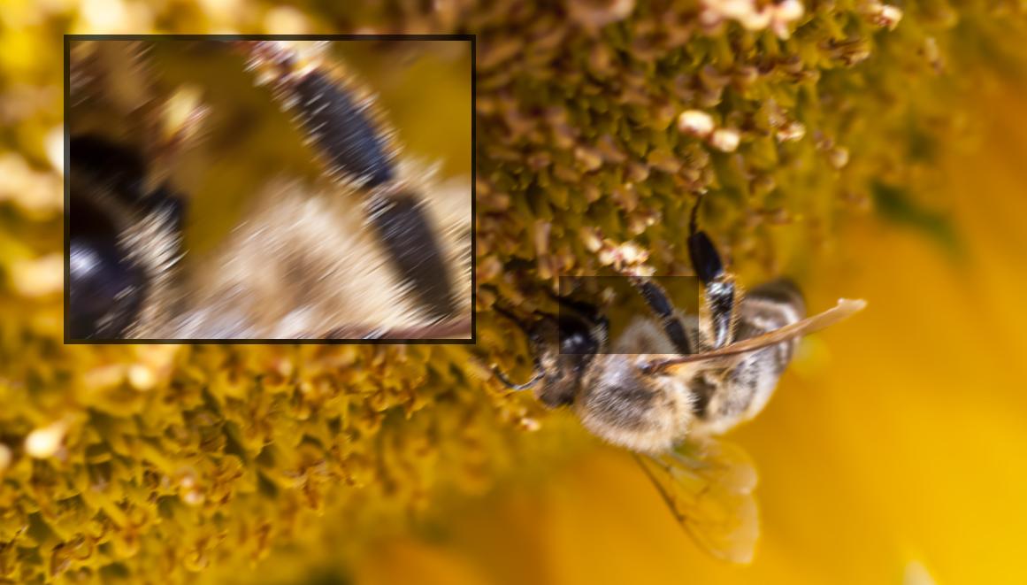 Capítulo 7 - Edición digital - Usando el filtro estabilizador de imagen de Photoshop CC