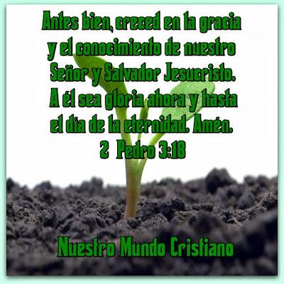 Pasos para crecer espiritualmente